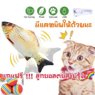 ปลาดุ๊กดิ๊กชาร์ตไฟได้ แถมฟรีแคทนิพ เพิ่มความฟิน