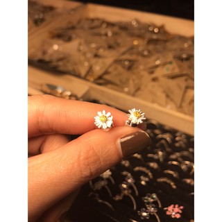 ตุ้มหู ต่างหู เงินแท้ 925 ดอกเดซี่ (ฮิต) เดซี่ !! Daisy Flower Real Silver Sterling earring