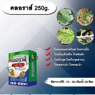 คลอราส์ 250g. คาร์เบนดาซิม+โพรคลอลาส สารกำจัดเชื้อรา โรคแอนแทรคโนส โรคกุ้งแห้ง โรคดอกดำในมะม่วง โรคราแป้ง