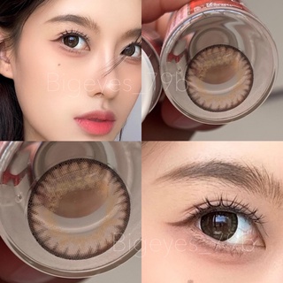 ✨Brown ขนาดตาโต (Bigeyes)☀️กรองแสง uv ✔️จดทะเบียนถูกต้อง 🇰🇷เลนส์สัญชาติเกาหลี🇰🇷