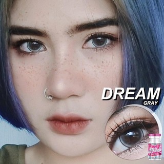 Bigeye Dream gray/brown คอนแทคเลนส์ ดรีม สีเทา/น้ำตาล(สายตาปกติ)