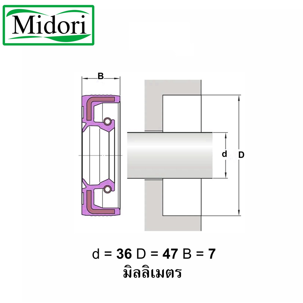 TC 36-47-7 ออยซีล ซีลยาง ซีลกันน้ำมัน ซีลกันซึม ซีลกันฝุ่น Oil seal ...