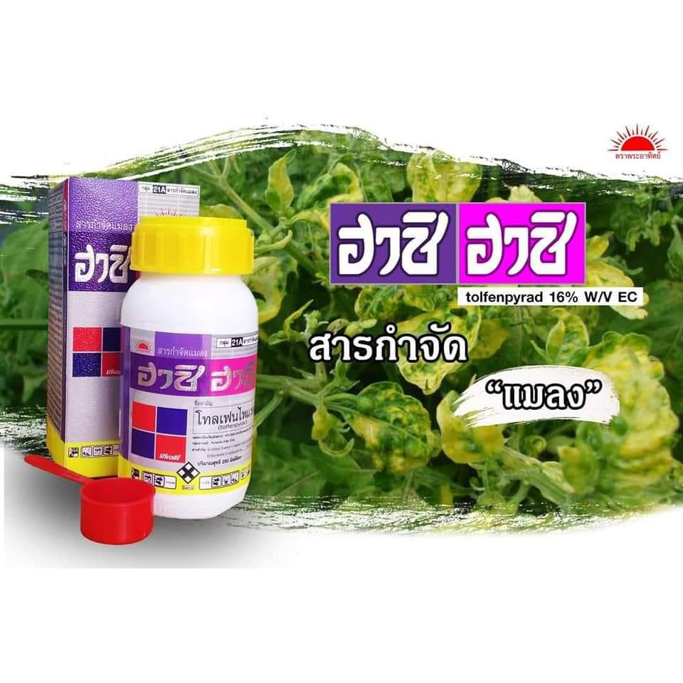 ฮาชิฮาชิ-500-ซีซี-โทลเฟนไพแรด-tolfenpyrad-16-w-v-ec