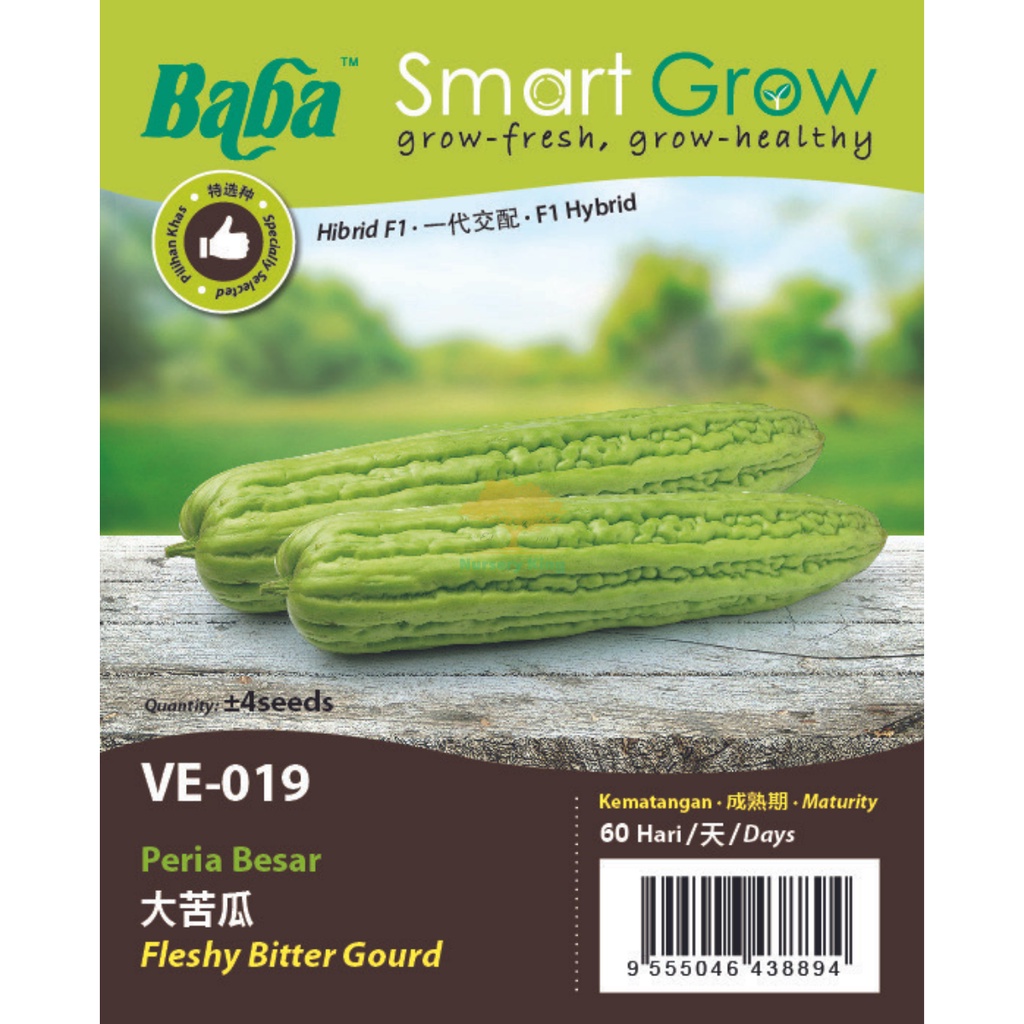 Baba Smart Grow Leafy Vegetable Seed Series / Non GMO Seed / Biji Benih ...