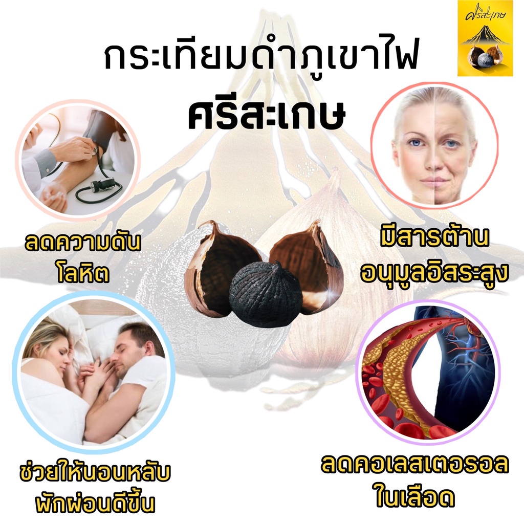 ภาพสินค้า*(ขายส่ง )*"( น้ำหนัก 1 กิโลกัม)กระเทียมดำภูเขาไฟ ศรีษะเกษ "เสริมภูมิคุ้มกัน "**ไม่รวมน้ำหนักกระปุก จากร้าน srisaket_blackgarlic89 บน Shopee ภาพที่ 2