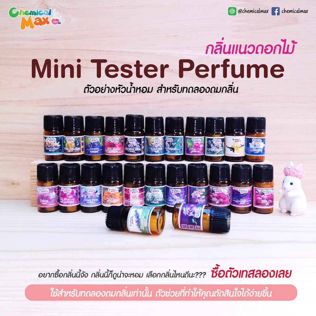 สินค้าทดลอง-ขั้นต่ำ-3-ชิ้น-mini-tester-perfume-เทสเตอร์หัวน้ำหอม-แนวดอกไม้-เทสเตอร์น้ำหอม-มินิเทสเตอร์-ดมทดสอบกลิ่น