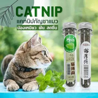 หญ้าแมว Catnip ออร์แกนิคแบบหลอด ขนาด 40 ML