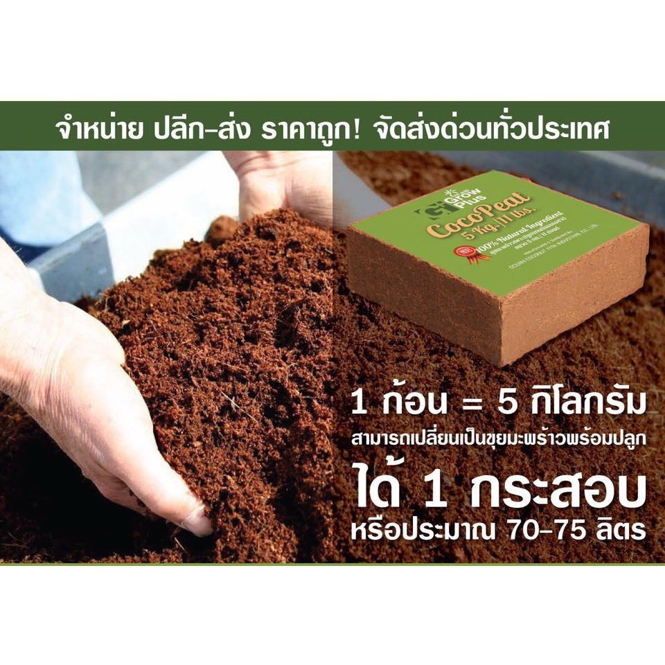 coco-peat-ขุยมะพร้าว-อัดก้อน-ขนาด-5-กก-ขยายได้-70-ลิตร-ล้างสารแทนนินแล้ว-พร้อมใช้-ไม้บอน-ไม้ดอก-กุหลาบ-แทนดิน-ดิน