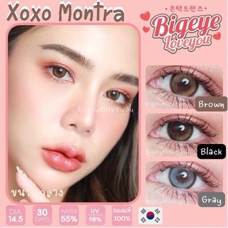 คอนแทคเลนส์ Xoxo Brown / Black / Gray (Montra) ขนาดกลาง ♥️ตาฟิลเตอร์ เลนส์ฟิตเตอร์ สวยปัง