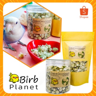 ดอกบานไม่รู้โรยป่าแห้ง  ของโปรดนกแก้ว นกเลิฟเบิร์ด ค็อกคาเทล นกฟอพัส, dry wild amaranth for lovebirds, cockatiels