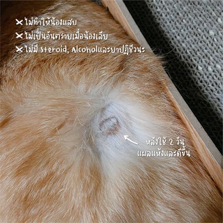 ภาพขนาดย่อของภาพหน้าปกสินค้าVetericyn Plus VF Wound & Skin Cleanser สเปรย์พ่นแผลและผิวหนัง ชนิดน้ำ สำหรับแมว สุนัข จากร้าน callme บน Shopee ภาพที่ 6