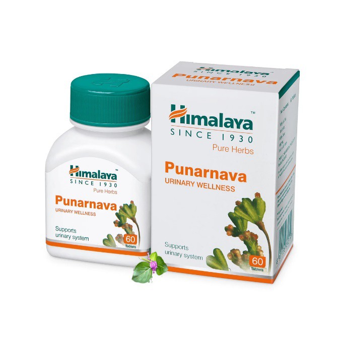 himalaya-punarnava-60-เม็ด-สมุนไพรดูแลเรื่องไต-บำรุงระบบปัสสาวะ