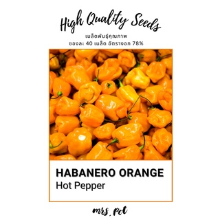 เมล็ดพริกที่เผ็ดที่สุดในโลก Habanero Orange Hot Pepper