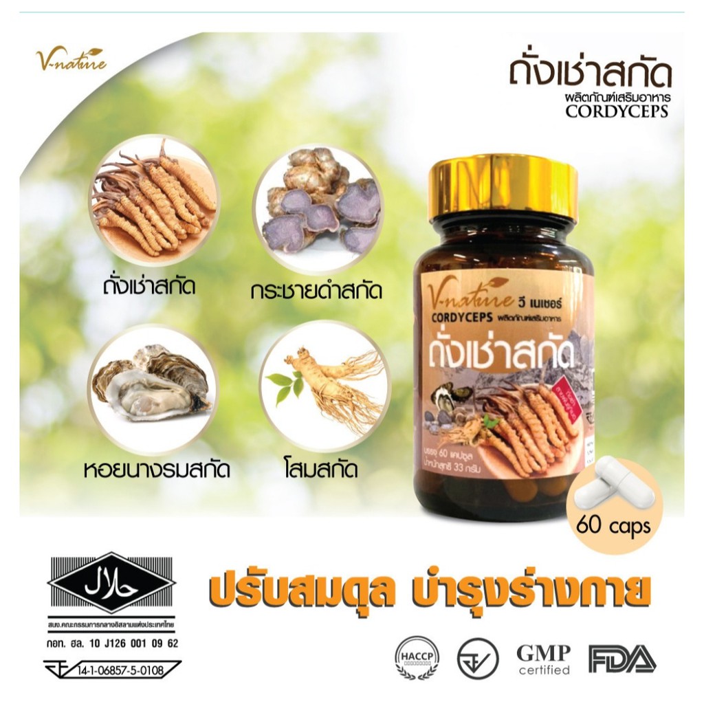 พร้อมส่ง-v-nature-ถั่งเช่า-คอดีเซ็ปส์-จากทิเบต-cordyceps-ซี-เนเชอร์-ถังเช่า-artiscent-มหัศจรรย์แห่งสมุนไพรจักรพรรดิ