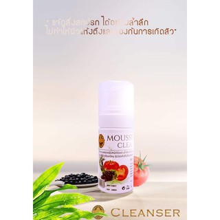 Arbutina Cleanser mousse foam  120ml  Remover make up