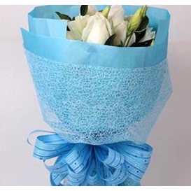 245-กระดาษห่อช่อดอกไม้-ของขวัญ-diy-รูปแบบตาข่าย
