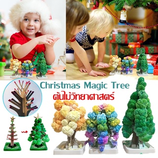 🌞พร้อมส่งจ้า🎄Christmas Magic Tree 3ชิ้น/เซ็ต ขาตั้งกระดาษต้นคริสต์มาส ของขวัญคริสต์มาส