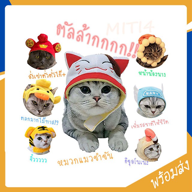 ภาพหน้าปกสินค้าMITI4 พร้อมส่ง หมวกสัตว์เลี้ยงหมาแมว มีให้เลือกหลายแบบ หมวกแมวหูกระต่าย หมวกตรุษจีน กาชาปอง หมวกแมว น่ารัก COD ST080