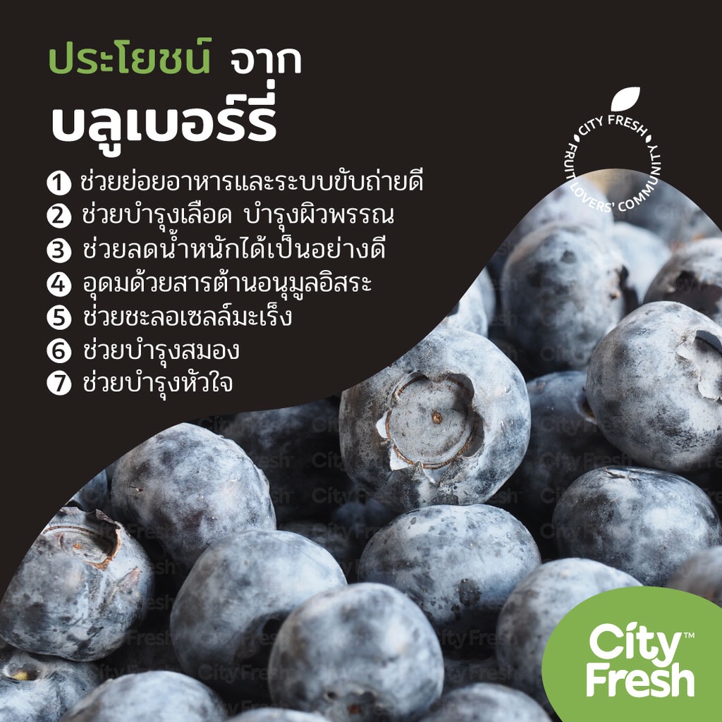 cityfresh-ยกลัง-บลูเบอร์รี่-เกรดพรีเมี่ยม-blueberry-ozblu-ออซบลู-ผลไม้นำเข้า