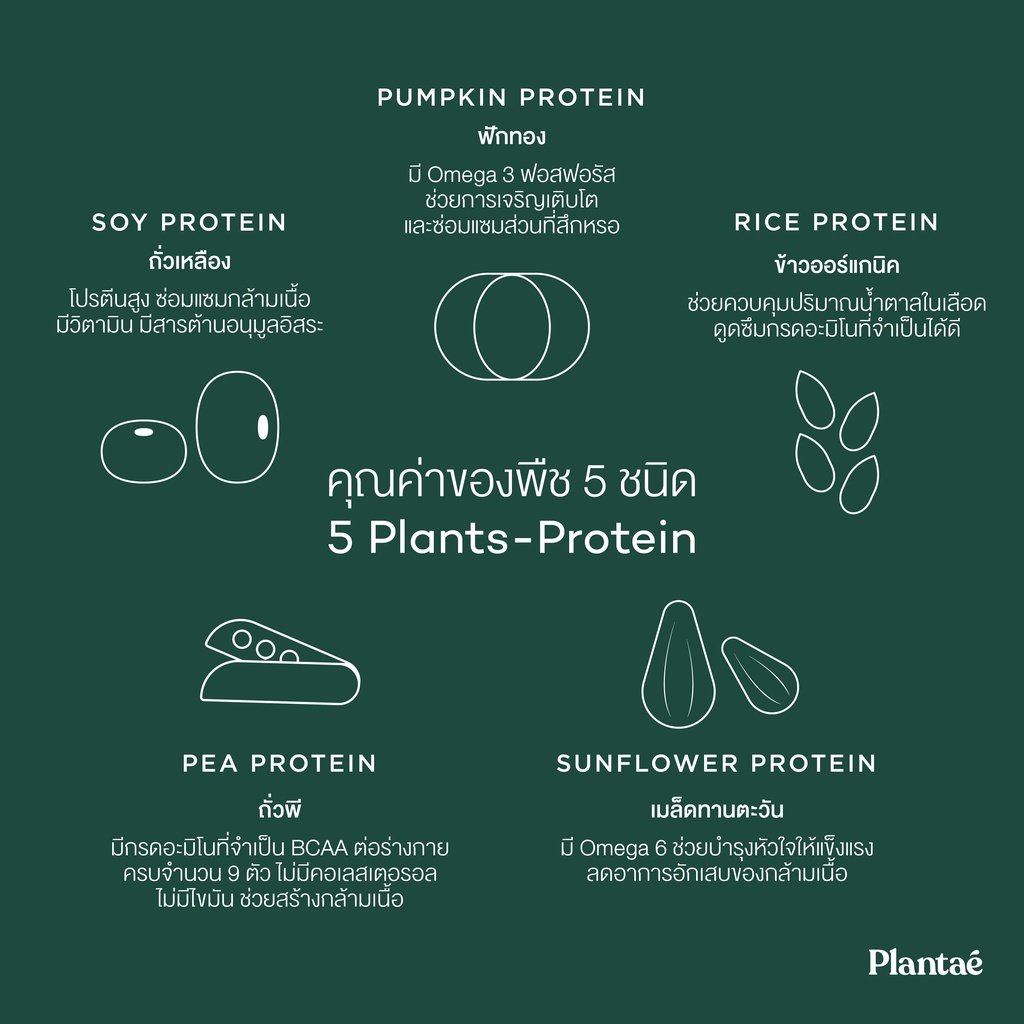 ภาพสินค้าNo.1 Plantae Trial Set 3 ซอง 3 รสชาติ : รส ดัชท์ ช็อกโกแลต / มิกซ์ เบอรี่ / สตรอว์เบอร์รี่ : โปรตีนพืช คีโต โปรตีนสูง จากร้าน plantae_official บน Shopee ภาพที่ 5