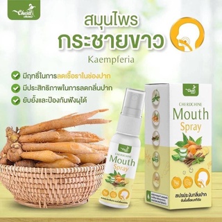 Cherdchine Mouth Spray สเปรย์กระชาย สเปรย์พ่นคอ