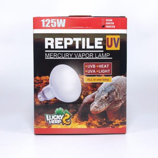 (พร้อมส่ง)LuckyHerp ReptileUV (UVA+UVB) (80w , 125w)