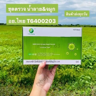 ส่งทุกวัน🔥ชุดตรวจATK Green Spring ตรวจน้ำลาย&จมูก มีคลิปสอนใช้งาน