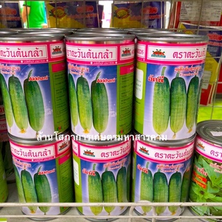 🥒ขายส่ง 61฿ 🥒เมล็ดพันธุ์ แตงกวาอัคนี CUCUMBER AKKHANI ตราตะวันต้นกล้า แตงกวา