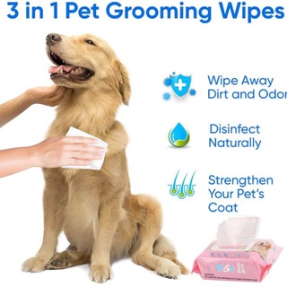 cherry Biga pet grooming wipes ผ้าเปียกเช็ดทำความสะอาดสำหรับสัตว์เลี้ยง