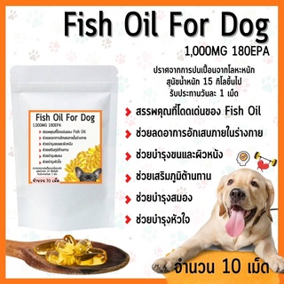 ภาพหน้าปกสินค้าFish Oil อาหารเสริม บำรุงขน สำหรับสุนัข ที่เกี่ยวข้อง