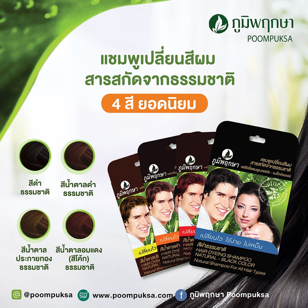 ภาพสินค้าภูมิพฤกษา แชมพูปิดผมขาว เปลี่ยนสีผม (แบบซอง) 25 มล. Poompuksa Hair Dyeing Shampoo 25 ml. จากร้าน chutima.online บน Shopee ภาพที่ 1