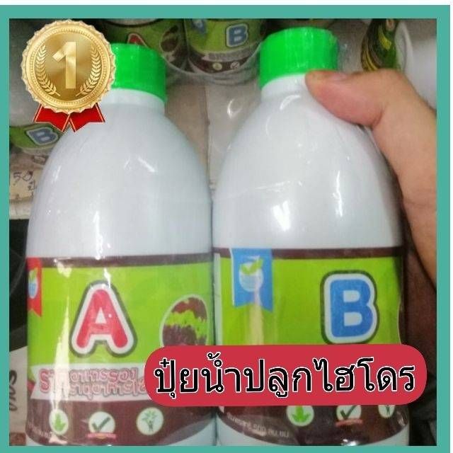 อาหารพืชไฮโดรโปนิกส์