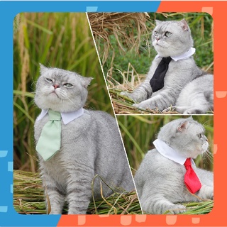 ภาพหน้าปกสินค้า[🚚 พร้อมส่ง] เนคไทสัตว์เลี้ยง Gentleman Pet Tie เนคไท เครื่องประดับสัตว์เลี้ยง ที่เกี่ยวข้อง