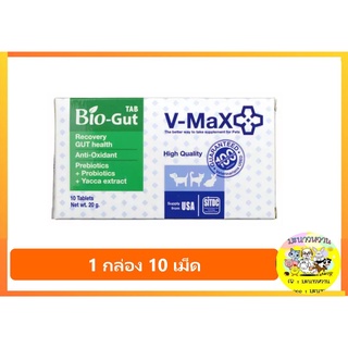 V-max Bio Gut อาหารเสริมช่วยระบบทางเดินอาหาร ช่วยแก้ปัญหาท้องเสีย บรรจุ 10 เม็ด