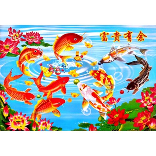 โปสเตอร์ รูปวาด ปลาคาร์ฟ ปลามงคล ภาพมงคล เสริมฮวงจุ้ย Fancy Carp 鯉 POSTER 24”x35” Inch Fish Koi Kohaku V3