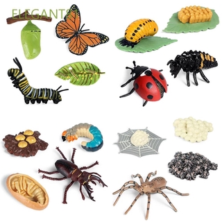 Simulation Animals Growth Cycle Butterfly Ladybug Chicken Life Cycle Figurine Plastic Models Action Figures Educational Kids Toy