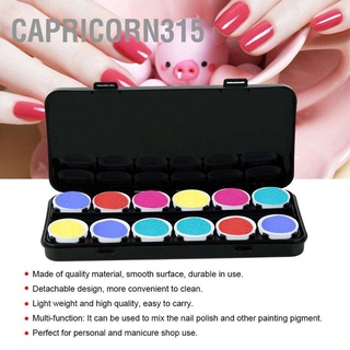 Capricorn315 24 Slots Nail Polish Color Mixing Plate UV Gel Manicure Painting Drawing Detachable Box