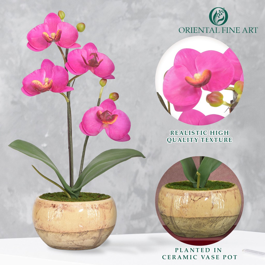 orientalfineart-กระถางกล้วยไม้-สีสวยสดใส-สวยเหมือนของจริง-จัดในกระถางเซรามิค-สำหรับประดับตกแต่งบ้านเพื่อความสวยงาม