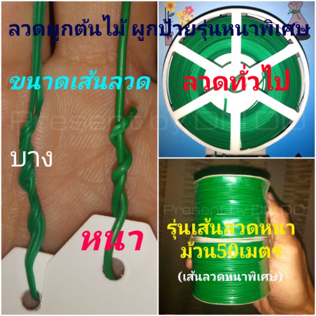 ลวดผูกป้ายชื่อต้นไม้-ผูกต้นไม้-รุ่นหนา-และหนาพิเศษ