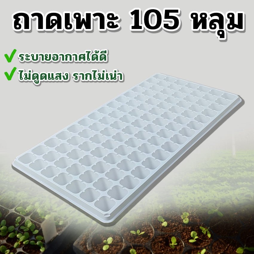 ถาดเพาะ-ถาดเพาะกล้า-เพาะต้นกล้า-เพาะชำ-มีแบบ105-หลุม-เพาะพืชผักสวนครัวได้-ไม้ดอกไม้ประดับ-สินค้าในไทย