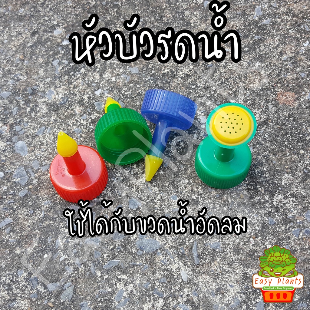 หัวฝักบัวรดน้ำ-ต่อกับขวดน้ำอัดลม-หัว-ฝักบัวรดน้ำ-ต้นไม้-หัวรดน้ำต้นไม้-หัวบัวรดน้ำ-หัวรดน้ำจิ๋ว