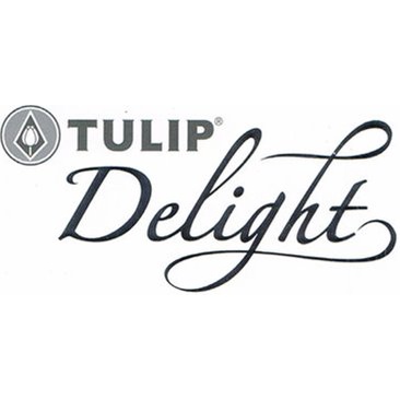 tulip-delight-dlc116-ชุดเครื่องนอนทิวลิปดีไลท์-ลายการ์ตูนลิขสิทธิ์-ลายรถ-ลายคาร์