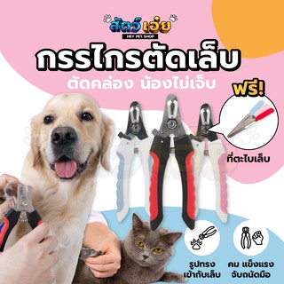 ภาพขนาดย่อของภาพหน้าปกสินค้าที่ตัดเล็บสัตว์เลี้ยง จับถนัดมือแข็งแรง กรรไกรตัดเล็บสุนัข กรรไกรตัดเล็บแมว ที่ตัดเล็บหมา ที่ตัดเล็บแมว จากร้าน heypetshop บน Shopee