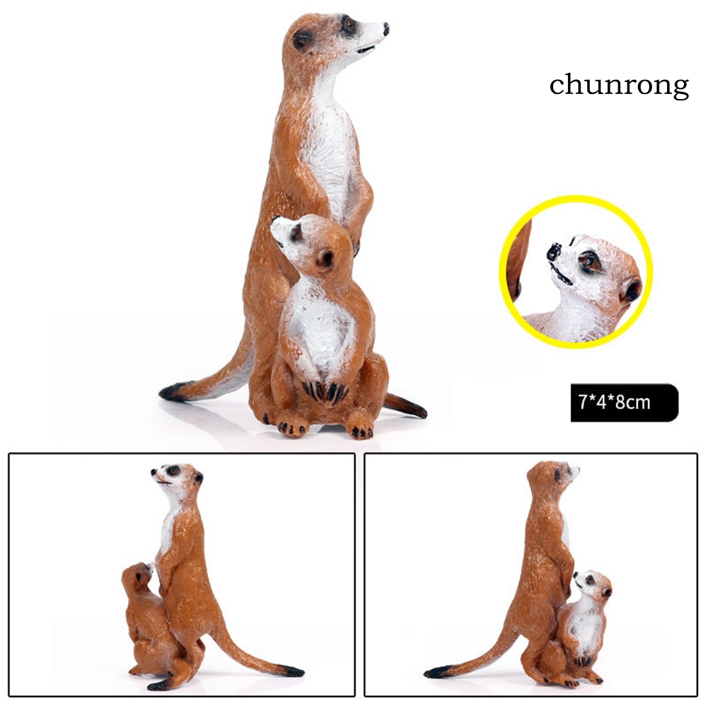 cr-ฟิกเกอร์ตั้งโต๊ะ-meerkat-wild-animal-ของเล่นสําหรับเด็ก