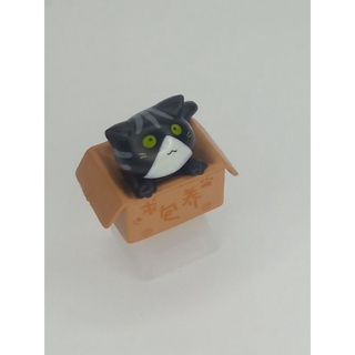 ภาพขนาดย่อของภาพหน้าปกสินค้าDiy resin Keycaps แมวในกล่องสุดน่ารัก ฐานคีย์แคปเรซิ่น แกนกากบาท + โปรไฟล์ OEM จากร้าน njy.keycaps บน Shopee ภาพที่ 4