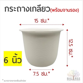 🗑กระถางเกลียว 6 นิ้ว ทรงกลมสวย🗑สีขาว-ครีม เนื้อหนา แข็งแรง ทนทาน ใช้ยาวนาน🌳กระถางพลาสติก กระถางต้นไม้ (พร้อมส่ง)