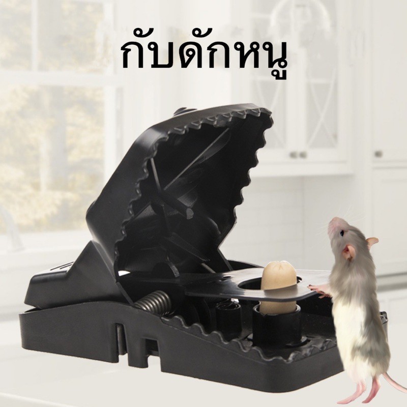 ถูกสุด-กับดักหนู-เครื่องดักหนู-แบบงับ