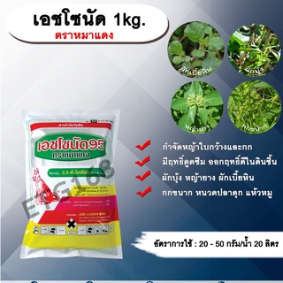 🍁เอชโซนัด 1kg. ตราหมาแดง 24ดี โซเดียม หมาแดงผง ทูโฟดี สารกำจัดหญ้า กำจัดวัชพืช แบบดูดซึม ใบกว้าง และกก กำจัดหญ้ายาง