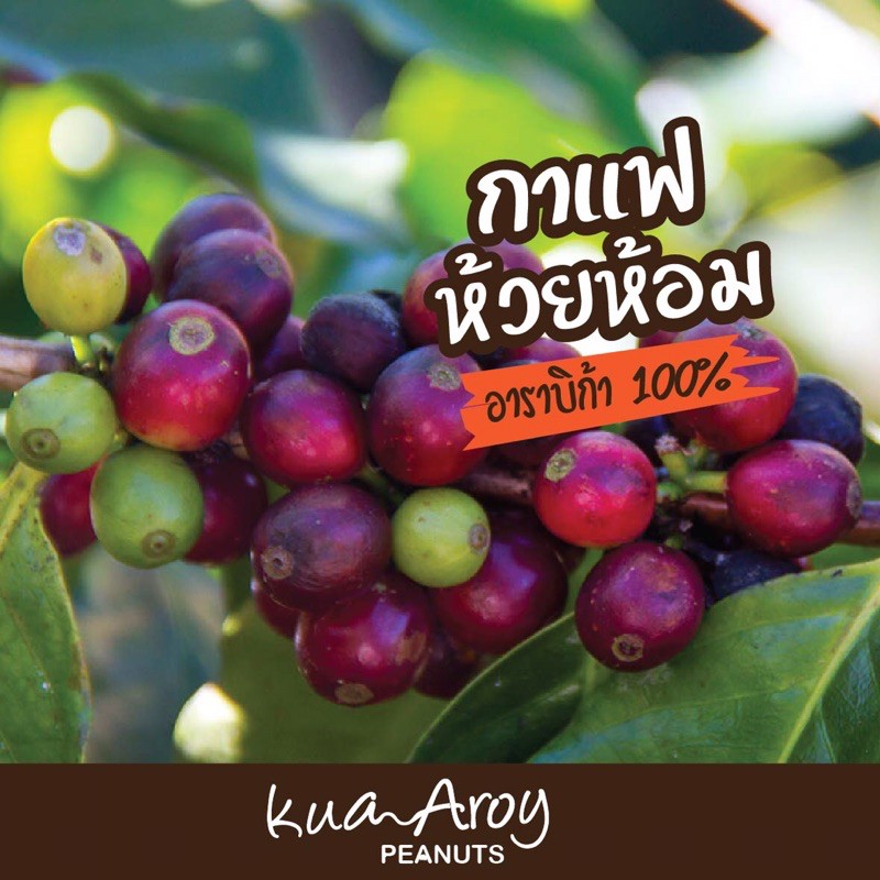 กาแฟสดห้วยห้อม-แบบบด-คั่วหอมๆ-ส่งตรงจากไร่-ขนาด-250-กรัม