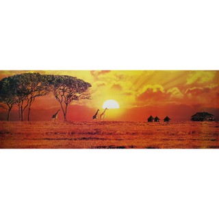 โปสเตอร์ รูปถ่าย วิว ธรรมชาติ ทุ่งหญ้าสะวันนา แอฟริกาใต้ Savanna Landscapes Nature POSTER 14”x39” Inch South Africa